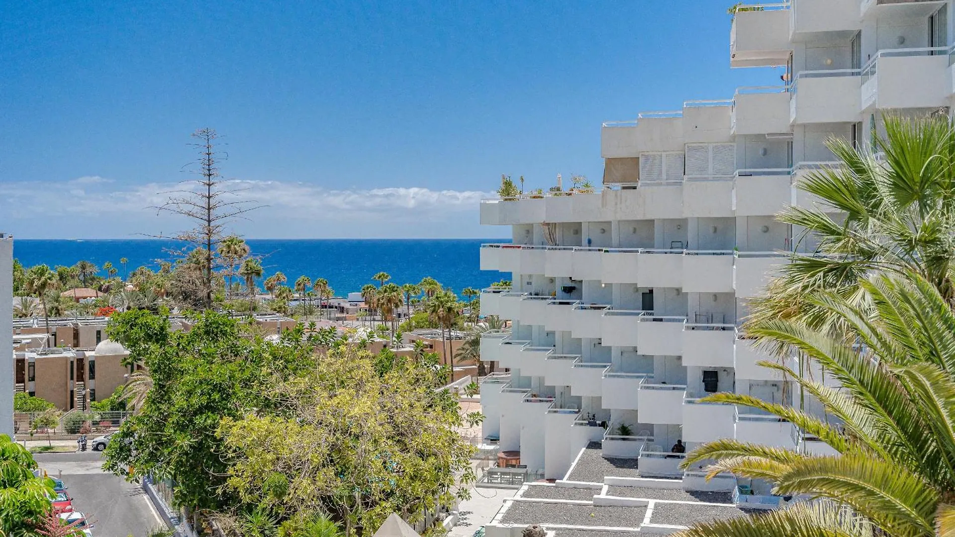Ponderosa Beachfront Suite Playa Feñabe