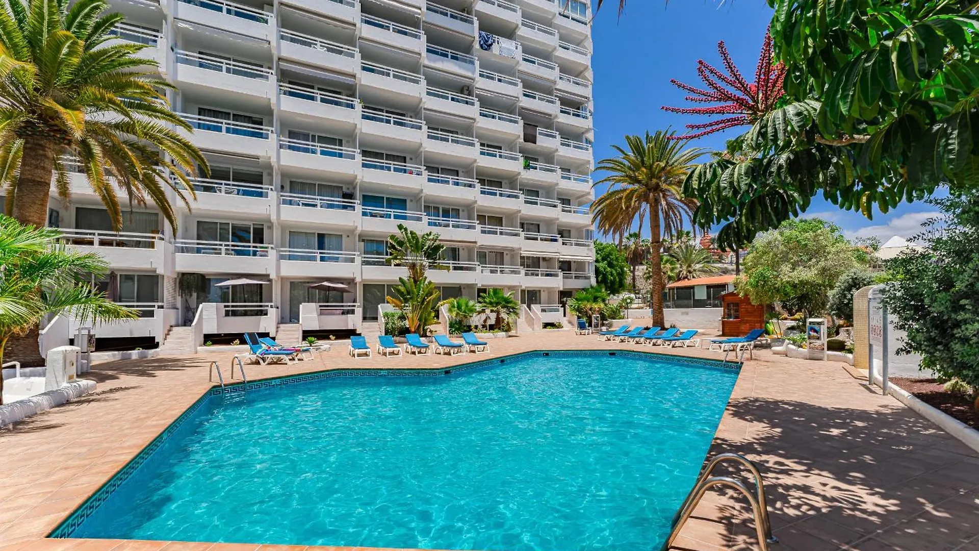 Apartment Ponderosa Beachfront Suite Playa Fanabe Spain